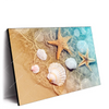 Led Wandbild Seesterne Muscheln Querformat Produktvorschau Seitlich