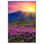 Led Wandbild Sommerberg Im Sonnenuntergang Hochformat Produktvorschau Frontal