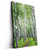 Led Wandbild Sommerbirken Hochformat Produktvorschau Seitlich