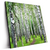 Led Wandbild Sommerbirken Quadrat Produktvorschau Seitlich