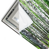 Led Wandbild Sommerbirken Querformat Materialvorschau