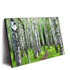 Led Wandbild Sommerbirken Querformat Produktvorschau Seitlich