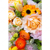 Led Wandbild Sommerblumen Hochformat Motivvorschau