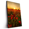 Led Wandbild Sommerlandschaft Mit Rotem Mohn Hochformat Produktvorschau Seitlich