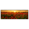 Led Wandbild Sommerlandschaft Mit Rotem Mohn Panorama Produktvorschau Frontal