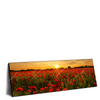 Led Wandbild Sommerlandschaft Mit Rotem Mohn Panorama Produktvorschau Seitlich