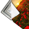 Led Wandbild Sommerlandschaft Mit Rotem Mohn Quadrat Materialvorschau