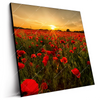 Led Wandbild Sommerlandschaft Mit Rotem Mohn Quadrat Produktvorschau Seitlich