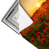 Led Wandbild Sommerlandschaft Mit Rotem Mohn Querformat Materialvorschau