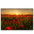 Led Wandbild Sommerlandschaft Mit Rotem Mohn Querformat Produktvorschau Frontal