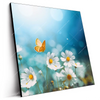 Led Wandbild Sommerwiese Mit Schmetterlingen Quadrat Produktvorschau Seitlich