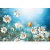Led Wandbild Sommerwiese Mit Schmetterlingen Querformat Motivvorschau