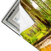 Led Wandbild Sonne Im Gruenen Wald Querformat Materialvorschau