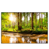Led Wandbild Sonne Im Gruenen Wald Querformat Produktvorschau Frontal