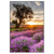Led Wandbild Sonnenaufgang Im Lavendelfeld Hochformat Produktvorschau Frontal