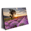 Led Wandbild Sonnenaufgang Im Lavendelfeld Querformat Produktvorschau Seitlich
