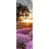 Led Wandbild Sonnenaufgang Im Lavendelfeld Schmal Motivvorschau