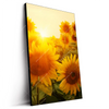 Led Wandbild Sonnenblumen Im Abendlicht Hochformat Produktvorschau Seitlich
