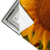 Led Wandbild Sonnenblumen Im Abendlicht Panorama Materialvorschau