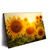 Led Wandbild Sonnenblumen Im Abendlicht Querformat Produktvorschau Seitlich