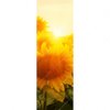 Led Wandbild Sonnenblumen Im Abendlicht Schmal Motivvorschau
