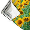 Led Wandbild Sonnenblumenfeld Quadrat Materialvorschau