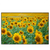 Led Wandbild Sonnenblumenfeld Querformat Produktvorschau Frontal