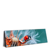 Led Wandbild Sonnenkaefer Auf Pusteblume Panorama Produktvorschau Seitlich