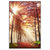 Led Wandbild Sonnenlicht Im Nebligen Wald Hochformat Produktvorschau Frontal