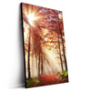 Led Wandbild Sonnenlicht Im Nebligen Wald Hochformat Produktvorschau Seitlich