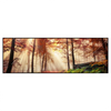 Led Wandbild Sonnenlicht Im Nebligen Wald Panorama Produktvorschau Frontal