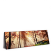 Led Wandbild Sonnenlicht Im Nebligen Wald Panorama Produktvorschau Seitlich