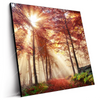 Led Wandbild Sonnenlicht Im Nebligen Wald Quadrat Produktvorschau Seitlich