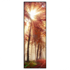 Led Wandbild Sonnenlicht Im Nebligen Wald Schmal Produktvorschau Frontal