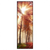 Led Wandbild Sonnenlicht Im Nebligen Wald Schmal Produktvorschau Frontal
