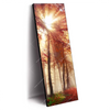 Led Wandbild Sonnenlicht Im Nebligen Wald Schmal Produktvorschau Seitlich