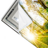 Led Wandbild Sonnenlicht Im Wald Querformat Materialvorschau