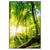 Led Wandbild Sonnenstrahlen Im Dichten Wald Hochformat Produktvorschau Frontal