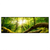 Led Wandbild Sonnenstrahlen Im Dichten Wald Panorama Produktvorschau Frontal