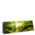 Led Wandbild Sonnenstrahlen Im Dichten Wald Panorama Produktvorschau Seitlich