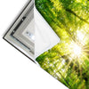 Led Wandbild Sonnenstrahlen Im Dichten Wald Quadrat Materialvorschau