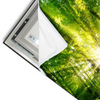 Led Wandbild Sonnenstrahlen Im Dichten Wald Querformat Materialvorschau