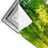 Led Wandbild Sonnenstrahlen Im Dichten Wald Schmal Materialvorschau