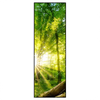 Led Wandbild Sonnenstrahlen Im Dichten Wald Schmal Produktvorschau Frontal