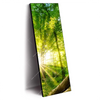 Led Wandbild Sonnenstrahlen Im Dichten Wald Schmal Produktvorschau Seitlich