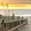 Led Wandbild Sonnenuntergang Am Strandweg Panorama Zoom