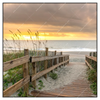 Led Wandbild Sonnenuntergang Am Strandweg Quadrat Produktvorschau Frontal