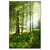 Led Wandbild Sonniger Morgen Im Wald Hochformat Produktvorschau Frontal