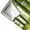 Led Wandbild Sonniger Morgen Im Wald Panorama Materialvorschau