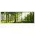 Led Wandbild Sonniger Morgen Im Wald Panorama Produktvorschau Frontal